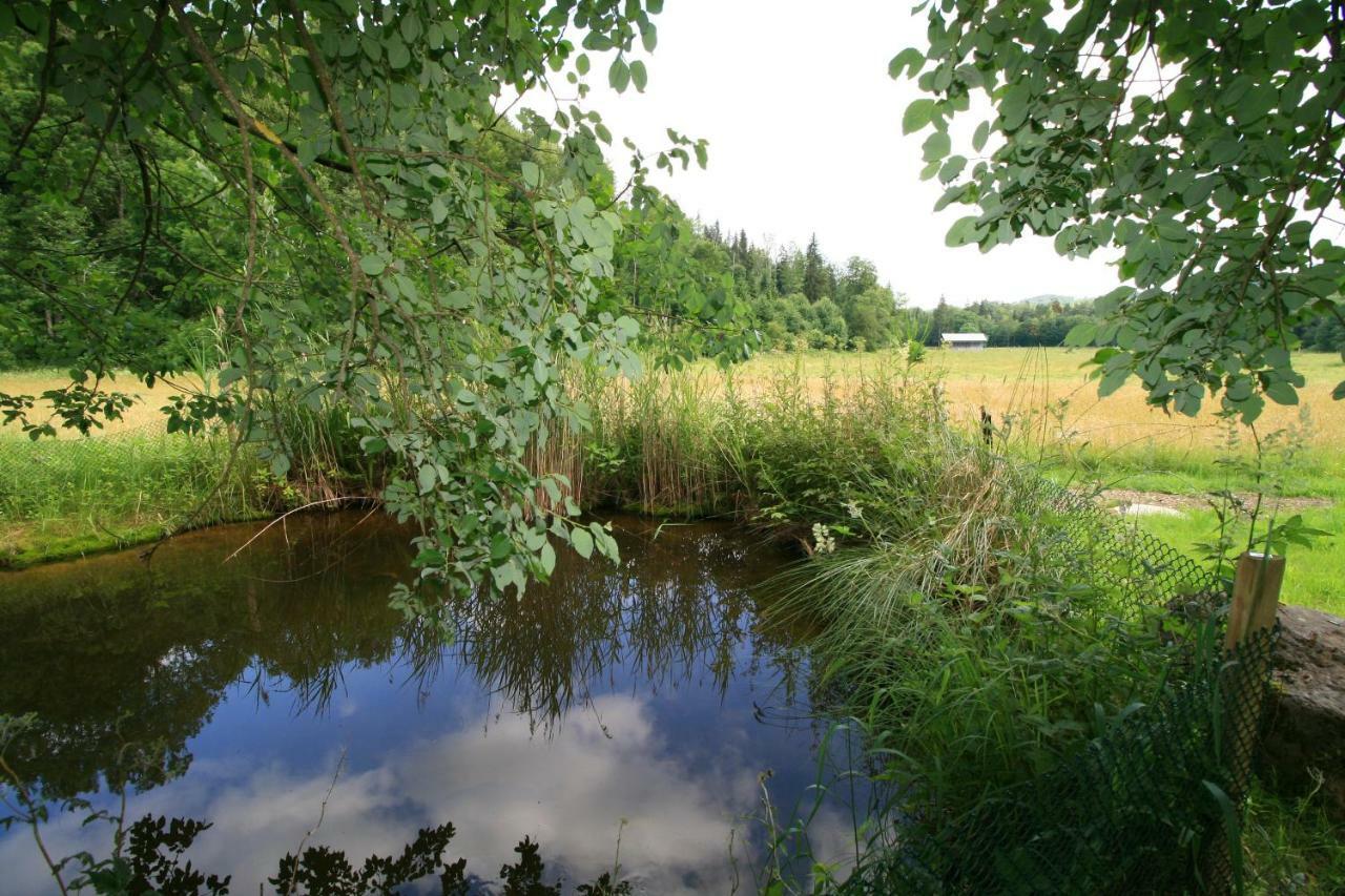 Landgasthof Auerschmiede Irschenberg Luaran gambar