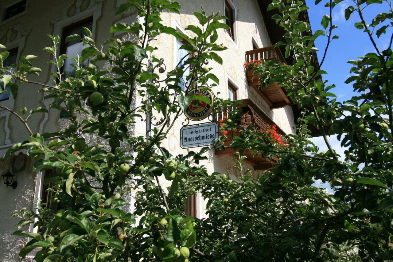 Landgasthof Auerschmiede Irschenberg Luaran gambar